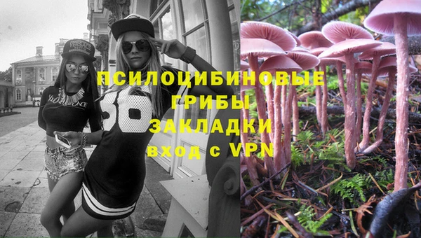 apvp Алексин