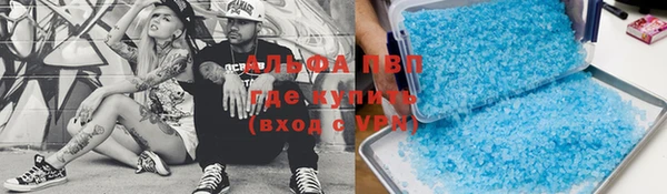 apvp Алексин