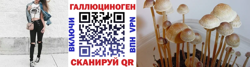 Галлюциногенные грибы ЛСД  blacksprut сайт  мориарти какой сайт  где купить наркотик  Невинномысск 