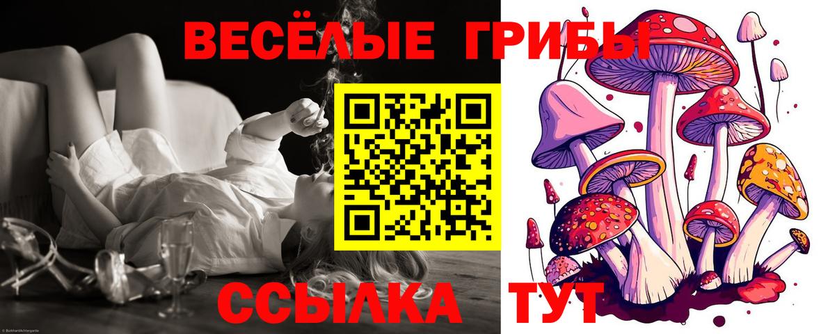 Невинномысск  Галлюциногенные грибы Cubensis  Вход с VPN 